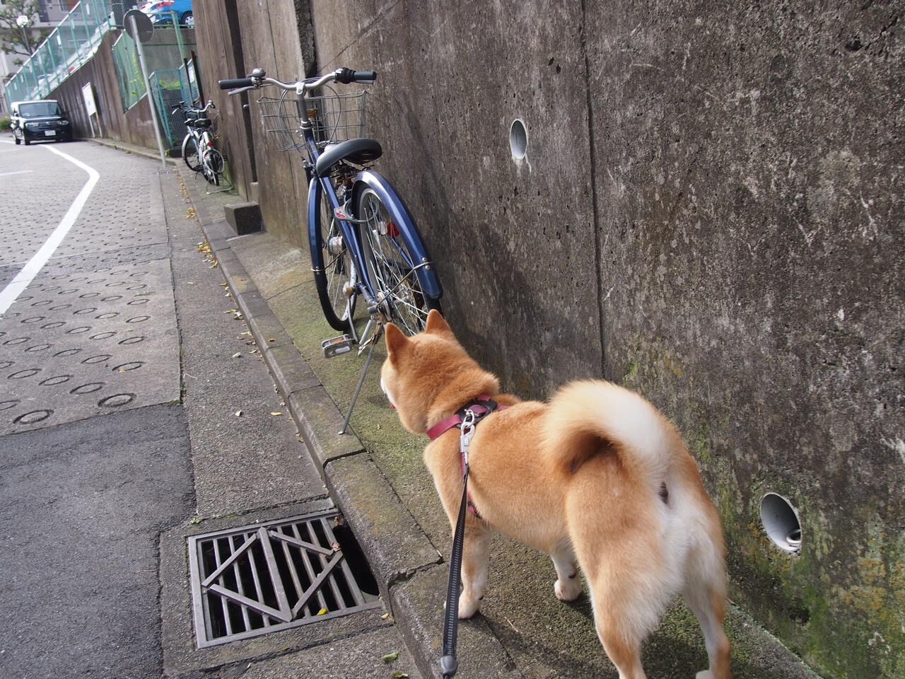 史诗级“欧冠决战”：悬念与激情同在，欧冠决赛爆冷